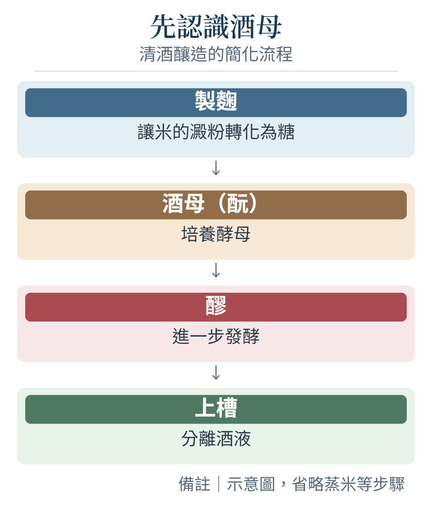 清酒製程中酒母的位置與基本流程