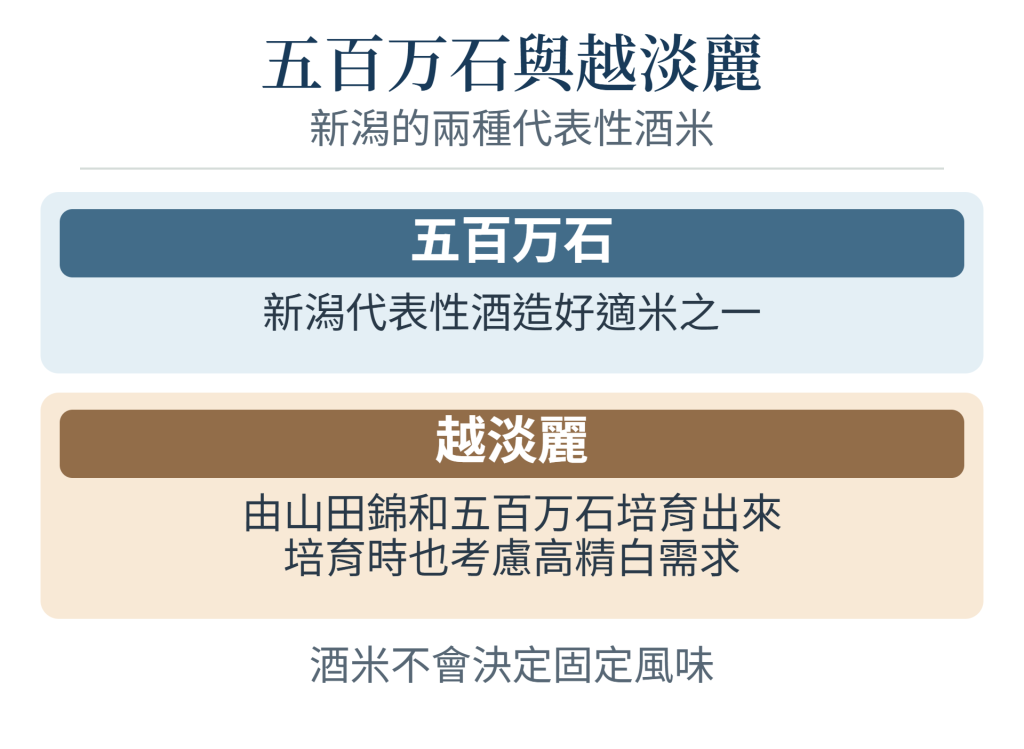 新潟兩種代表性酒造好適米：五百万石與越淡麗的比較圖